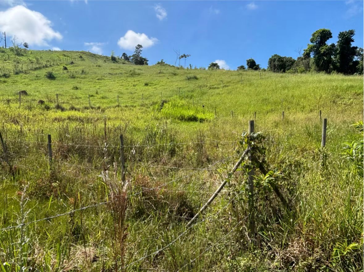 Lotes no Loteamento São Luís — Filgueiras (200 m²) — foto 2
