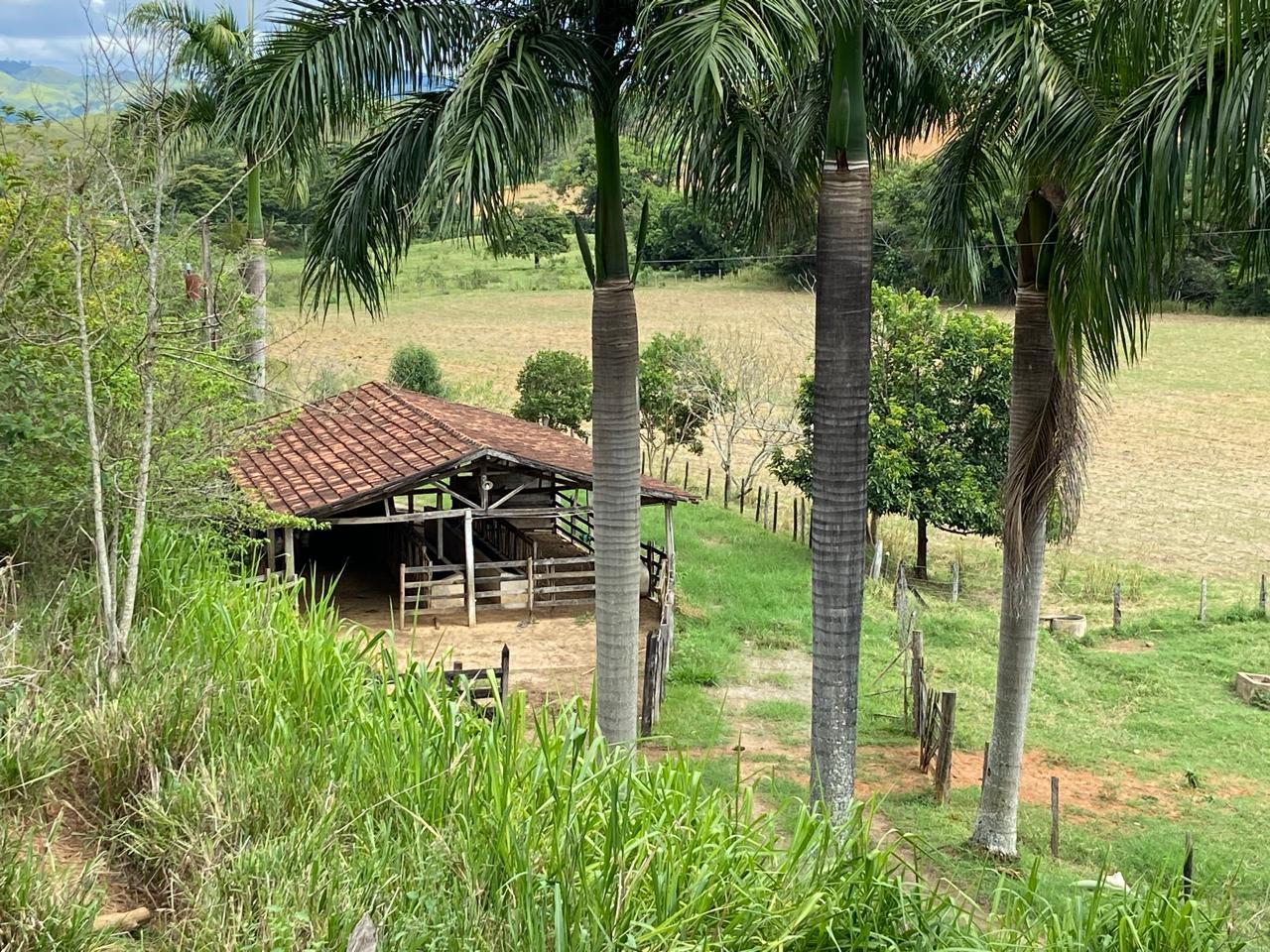 Sítio na região da Barra — Goianá (19 hectares) — foto 3