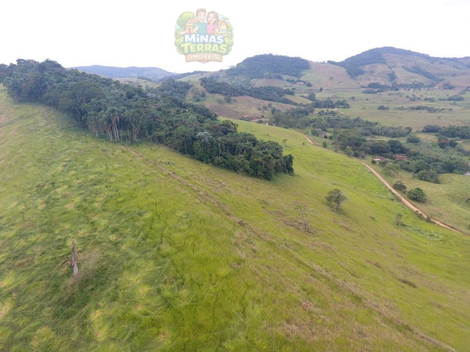 Sítio em Piau — 31,9 hectares com indústria de banana — foto 4